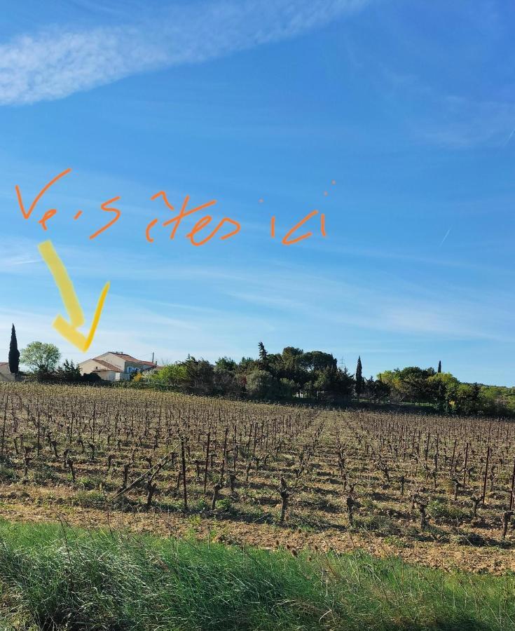 Gites A Moussan ,Domaine De La Barque A 5 Mins De Narbonne Exterior foto